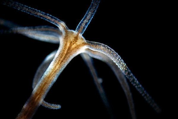 Кракен сайт 1kraken me вход