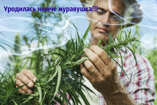 Список сайтов даркнета