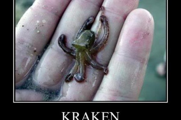 Кракен сайт ссылка kraken dark link