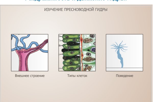 Кракен сайт 1kraken me вход