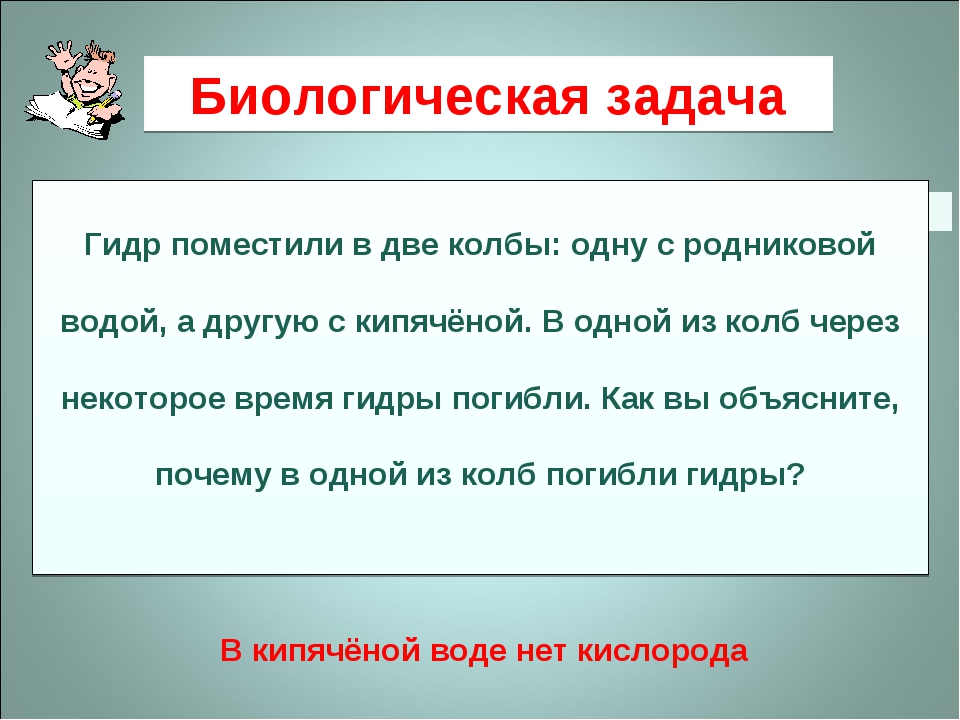 Kraken даркнет рынок
