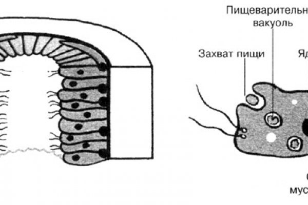 Открыть даркнет