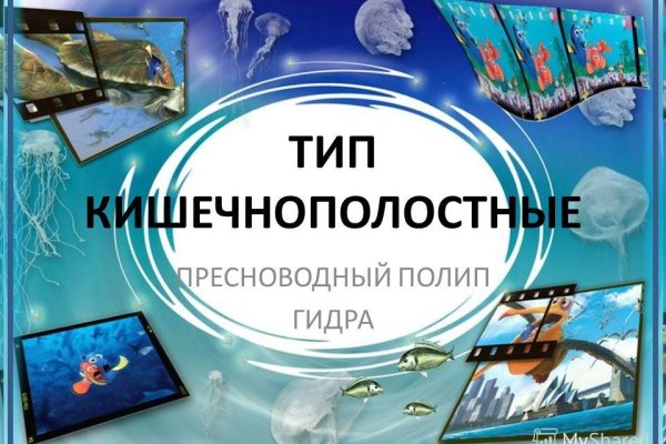 Кракен даркнет что известно