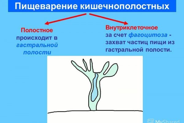 Как найти актуальную ссылку на кракен