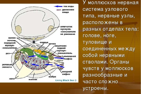 2 krn